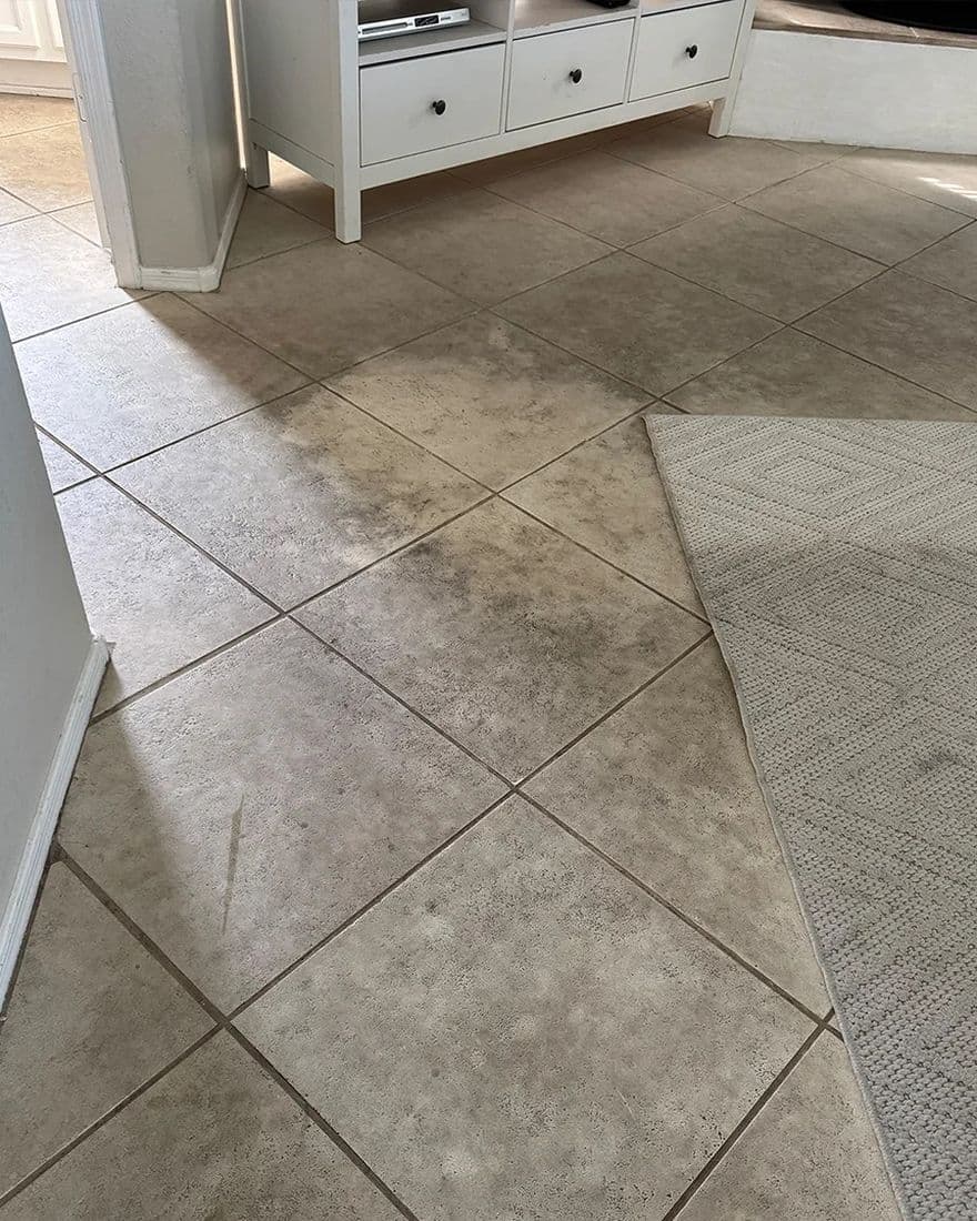 Entry tile and grout, before cleaning